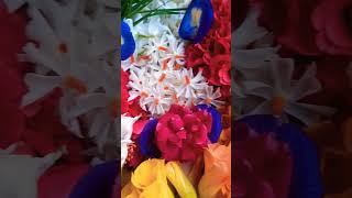 Beautiful flowers 💐🌹pooja navratri phool parijat aprajitaplant kaner rose [upl. by Assiluy]