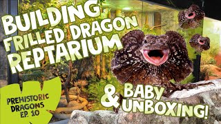 PD EPISODE 10 BUILDING FRILLED DRAGON REPTARIUM amp BABY UNBOXING [upl. by Atneciv]