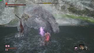 Sekiro  Ape 1st phase Fight with Ichimonji  Double consistent [upl. by Enyalaj]