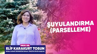 Parselasyon nedir Şuyulandırma Nedir [upl. by Neerahs]