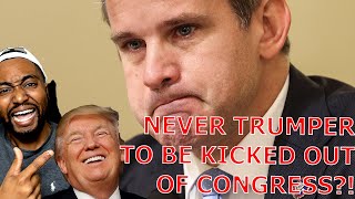 Democrats To Kick AntiTrump Crying Adam Kinzinger Out Of Congress As The Pawn Is No Longer Useful [upl. by Huston]