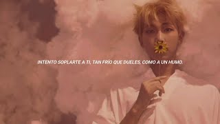 quotSpring Day Brit Rock Remixquot  BTS Sub español [upl. by Eednas]