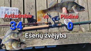 ESERIU ZVEJYBA AVIZADREBIU IR PLUDINE [upl. by Erialb]