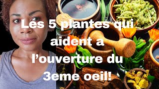 Les 5 plantes qui peuvent aider a decalcifier et ouvrir le 3eme oeilnature spiritualitesante [upl. by Elocan]