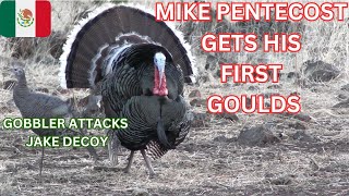 GOBBLER ATTACKS JAKE DECOY MIKE PENTECOST OWNER of WOODHAVEN GETS HIS FIRST GOULDS TURKEY IN MEXICO [upl. by Argella]