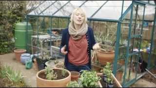 How to grow herbs  Grow at Home  Royal Horticultural Society [upl. by Nonnahc]