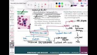 Myelodysplastic syndrome haematology 78 First Aid USMLE Step 1 in UrduHindi [upl. by Trbor]