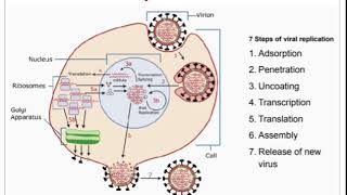 Antiviral Agents Medicinal chemistry Session 1 [upl. by Solly]