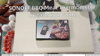 SONOFF BMT01 BBQ Meat Thermometer Tutorial Master Smart Grilling Techniques [upl. by Zeph]