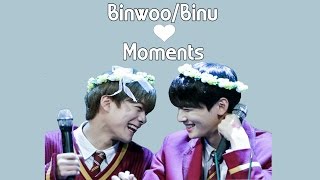 아스트로ASTRO BinwooBinu Moments  October amp November 2016 [upl. by Annasor]