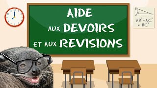 Rediffusion🔴 Stream 2 dAide aux Devoirs et aux Révisions 👨‍🏫 Math  Physique 📚 Collège  Lycée [upl. by Osnerol]