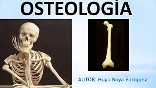 Introducción a la OSTEOLOGÍA ☠️ [upl. by Bouchard799]