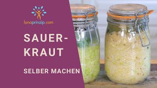 Sauerkraut Rezept  Ansatz in eigener Lake  Fermentieren für Anfänger [upl. by Underwood894]