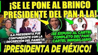 SAN LUNES PANISTA SE LE PONE AL BRINCO ¡A LA PRESIDENTA DE MÉXICO CLAUDIA ¡YA VALIÓ CHETOS [upl. by Gaul]