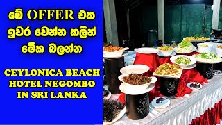 Negombo Hotels In Sri Lanka  Ceylonica Beach Hotel Negombo In Sri Lanka [upl. by Irafat]