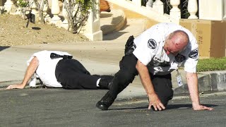 Angry Bee Swarm Attacks Volunteer Police Officer on Live TV [upl. by Matthias]