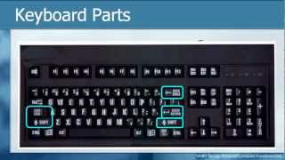 Learn THE KEYBOARD Techniques  Basic Personal Computer Tutorials How to [upl. by Boar]