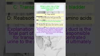 Daily Biology MCQs  Test Your Knowledge [upl. by Haididej228]