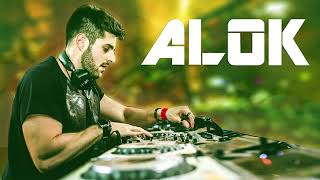 1 Hora de DJ Alok 2018 Remix original [upl. by Nosneb]