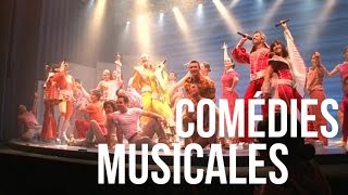 Envoyé Spécial  Dans les coulisses des comédies musicales [upl. by Aislehc820]