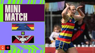 Adelaide v Essendon Mini Match  Week Four 2024  AFLW [upl. by Aehr]