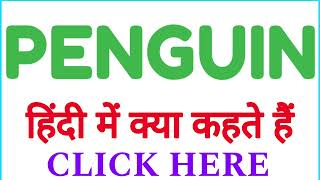 PENGUIN ko hindi mein kya kahate hain  PENGUIN ko hindi mein kya kehte hai [upl. by Gordy]