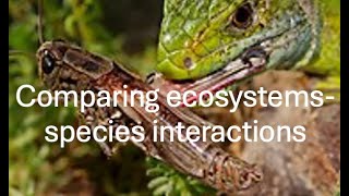 Comparing ecosystems  species interactions [upl. by Cocks]