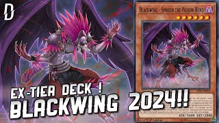 Blackwing Deck 2024  Duel Links [upl. by Yrrad]