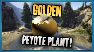 GTA 5 7 Golden Peyote plants found and location [upl. by Bennion549]