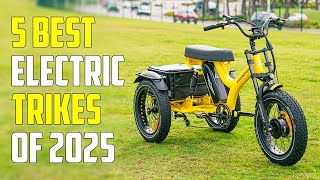 5 Best Electric Tricycles 2024  Best ETrike 2024 [upl. by Stacie]