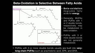 PUFAs BetaOxidation of Linoleic Acid 2 Double Bonds [upl. by Llemert]