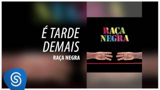 Raça Negra  É Tarde Demais Raça Negra Vol 6 Áudio Oficial [upl. by Steere738]