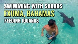 Swimming with Sharks in EXUMA BAHAMAS and Feeding Iguanas [upl. by Bigg]