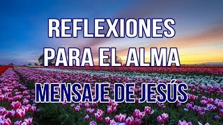 REFLEXIONES PARA EL ALMA  MENSAJE DE JESÚS [upl. by Aremaj739]