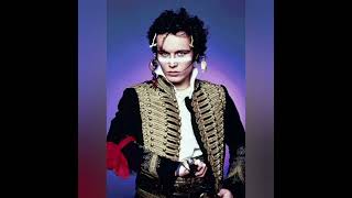 Antmusic Adam And The Ants [upl. by Atnauq356]