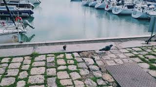 مدينة لاغوشال حلوة 🚢🌊🎈🎈🎁🎀 LA ROCHELLE CITY [upl. by Sim716]