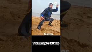 Tai Chi Techniques For Real Fighting teach kung fu in home [upl. by Nimaj]