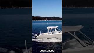 COBIA 280 DC  For Sale contact Boat Monster [upl. by Erroll]