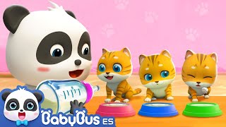 Mi Mascota Está Enferma  Cuida al Bebé Gatito  Videos para Niños  BabyBus en Español [upl. by Tnilf]