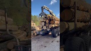 Debarker sawmill wood woodmachinery automobile woodbusiness woodworking woodmill woodwork [upl. by Eecyak]