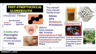 3 Minutes Poststreptococcal Glomerulitis Causes Symptoms Diagnosis Treatment ASGN PSGN USMLE NCLEX [upl. by Annoval]