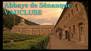 Abbaye de Sénanque et maquis de Gordes VAUCLUSE [upl. by Alyosha228]