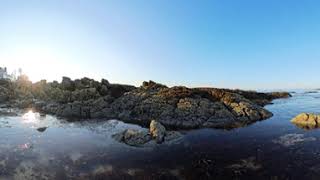 2408 Kennebunkport tidal pools [upl. by Hpesojnhoj]