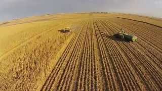 Bristle Farm Corn Harvest Amazing drone footage Watch the whole process [upl. by Lynnett]