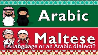 Is Maltese a Language or an Arabic dialect Episode 2 with Noel [upl. by Ylyl]