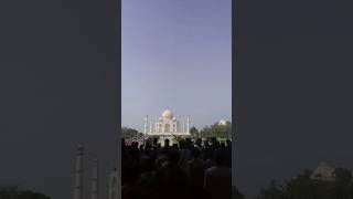 tajmahal atifaslam bollywood song love newmusic magallaxmi viralshort viralvideos vtuber [upl. by Erot7]