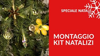 Kit Natalizi FAI DA TE  Addobba il tuo Albero di Natale [upl. by Niveg]