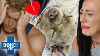 Heartbreaking Goodbyes Compilation💔😭  Bondi Vet Compilation  Bondi Vet [upl. by Derek516]