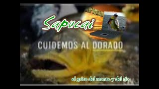 Sapucai 24 10 2024 [upl. by Sudnac]