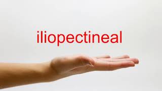 How to Pronounce iliopectineal  American English [upl. by Ri]